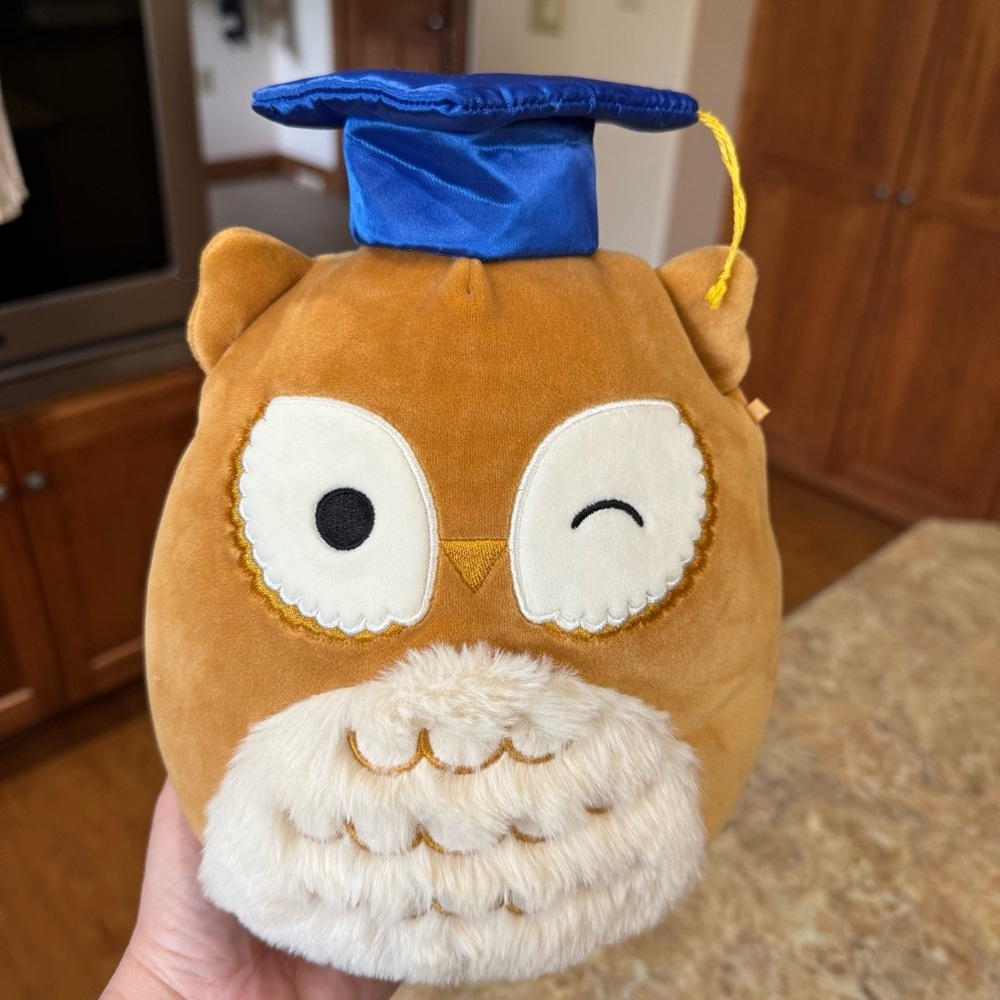 Squishmallow Arella the Owl Valedictorian 8" Graduate Graduation Cap Plush
